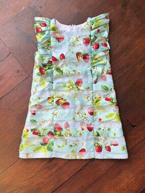 Pastourelle by Pépin Strawberry Print Girls Dress Size 5